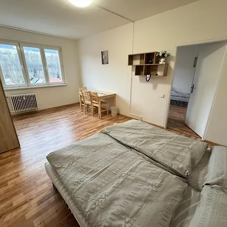 Apartman Pro 4 Osoby, Kraslice Sokolov Exterior photo