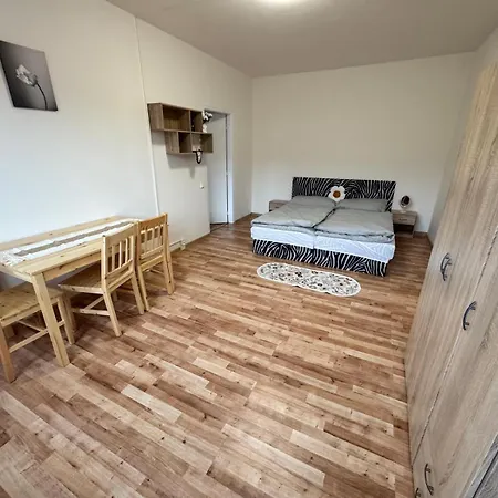 Apartman Pro 4 Osoby, Kraslice Sokolov Exterior photo